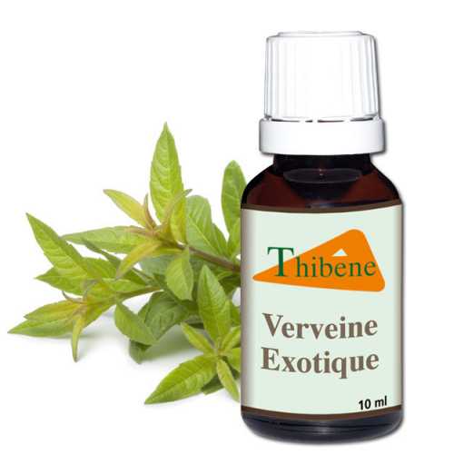 Huile Essentielle Verveine Huile Essentielle Verveine