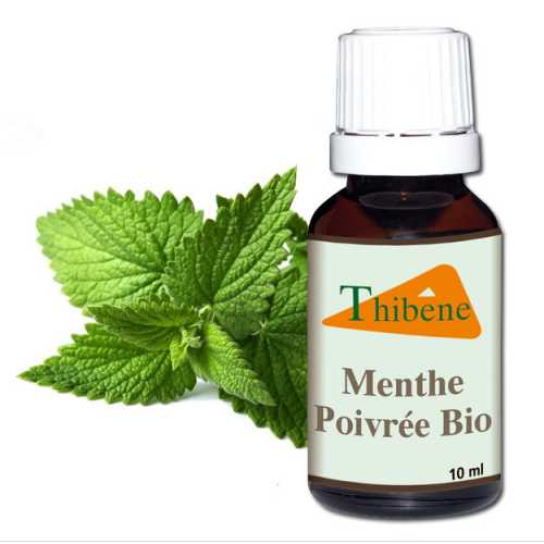 Huile Essentielle Menthe Poivrée Huile Essentielle Menthe Poivrée