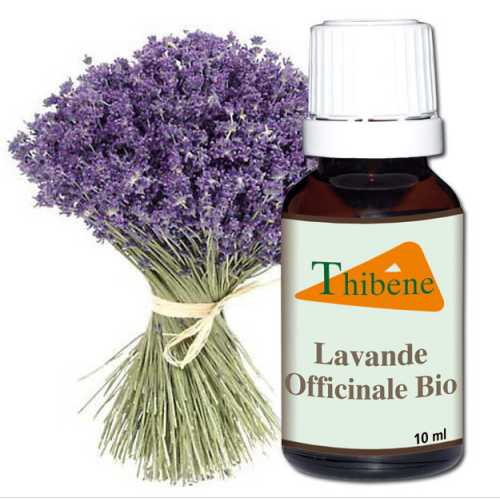 Huile Essentielle Lavande Huile Essentielle Lavande