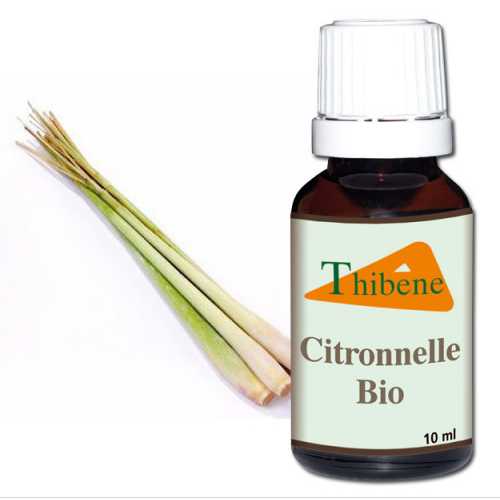 Huile Essentielle Citronnelle Huile Essentielle Citronnelle