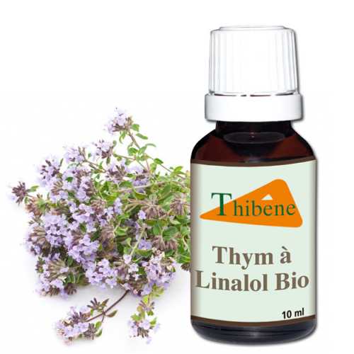 Huile Essentielle Thym Huile Essentielle Thym
