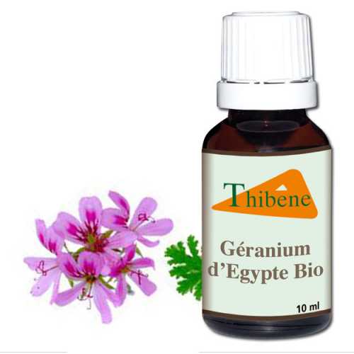 Huile Geranium Huile Geranium