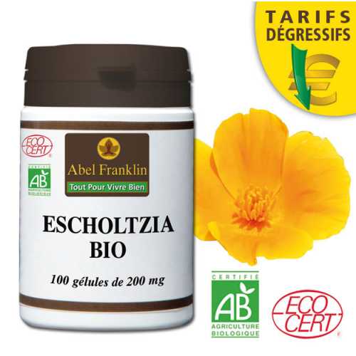 Escholtzia Escholtzia