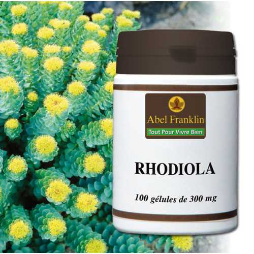 Rhodiola Rhodiola