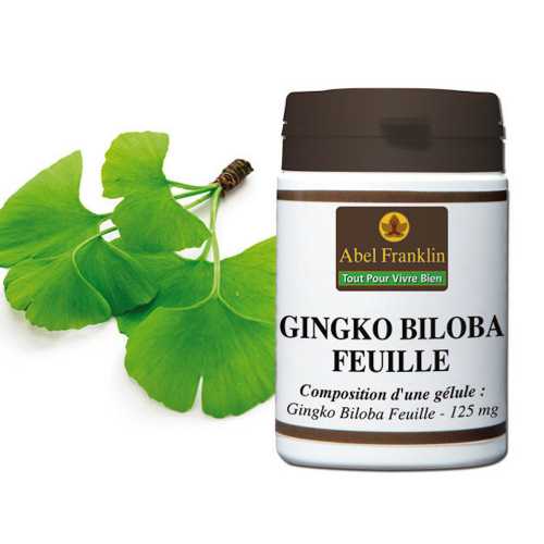 Gingko Biloba Gingko Biloba